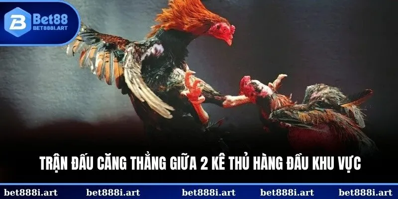 Trận đấu căng thẳng giữa 2 kê thủ hàng đầu khu vực