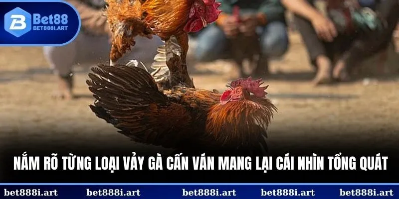 Nắm rõ từng loại vảy gà vấn cán sẽ giúp bạn có cái nhìn tổng quát