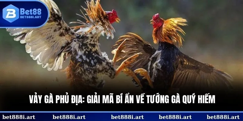 vảy gà phủ địa